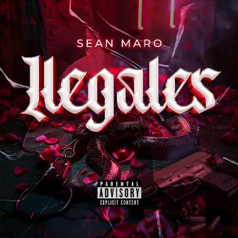 Ilegales by Sean Maro