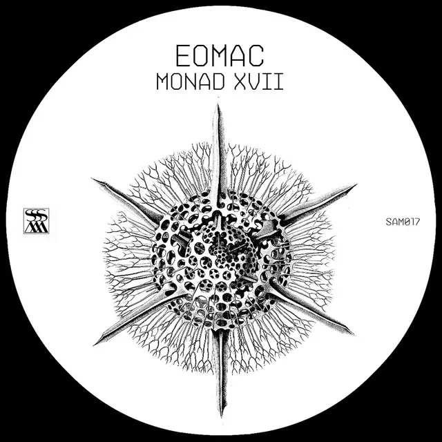 Monad XVII