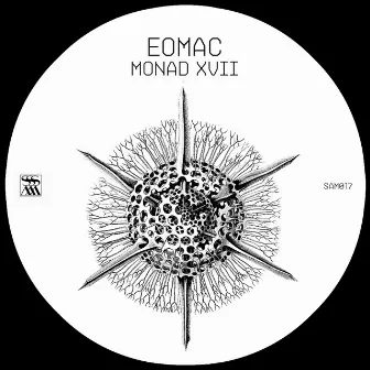 Monad XVII by Eomac