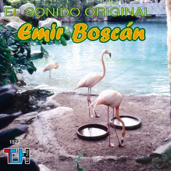 El Sonido Original by Emir Boscán y los Tomasinos