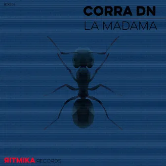 La Madama by Corra DN