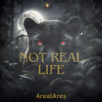 NOT REAL LIFE by 4realAres