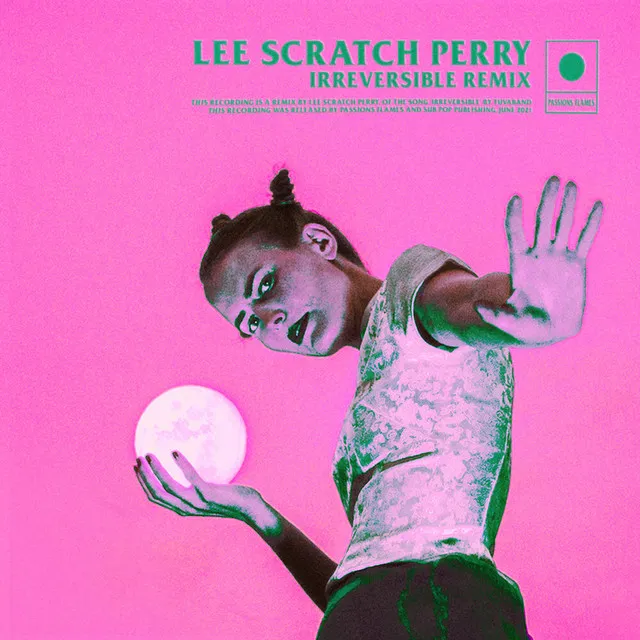 Irreversible - Lee "Scratch" Perry Remix