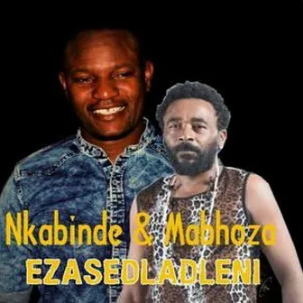 Ezasedldleni by Nkabinde