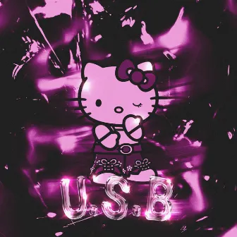 U.S.B by KERYBOY