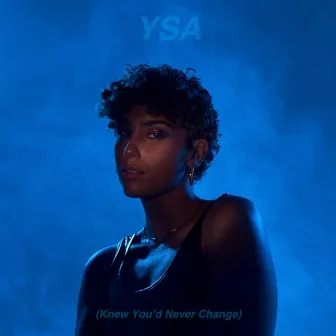 Knew You'd Never Change by Ysa