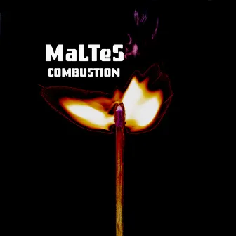 Combustion by MaLTeS