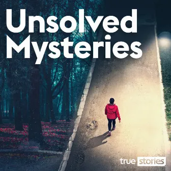 Unsolved Mysteries by Douglas Fenner Brown