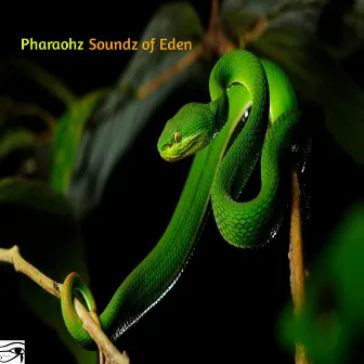 Soundz of Eden by Pharaohz