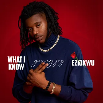 What I Know / Eziokwu by Young Jay