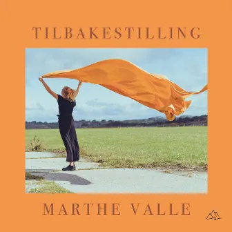 Tilbakestilling by Marthe Valle