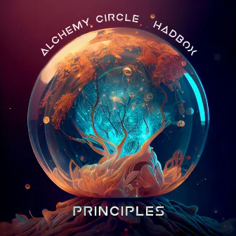 Principles by Hadbox