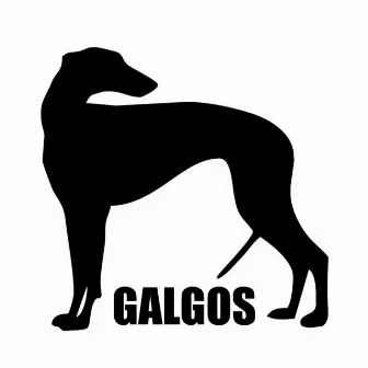 Galgos by Eldito