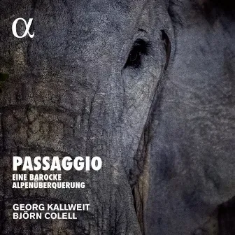 Passaggio: Eine barocke Alpenüberquerung by Georg Kallweit