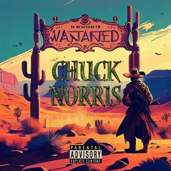 CHUCK NORRIS by TR3Y