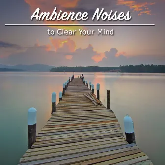 14 Loopable Ambience Noises to Clear your Mind by Sleeping Music Experience