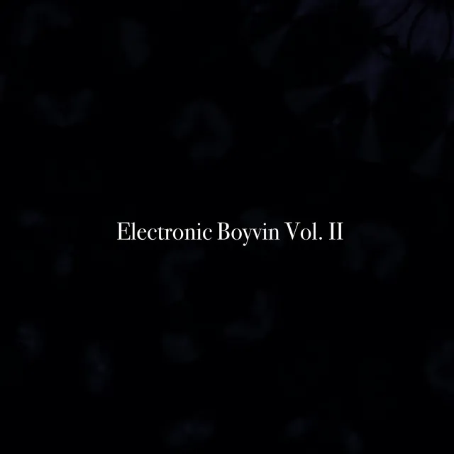 Electronic Boyvin Vol. II