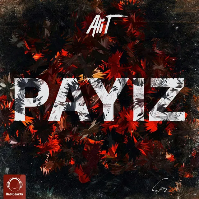 Payiz