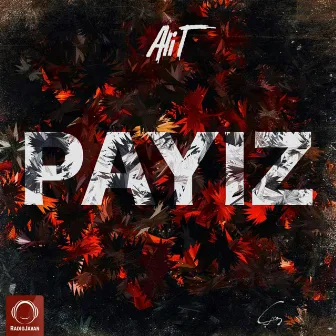 Payiz by Ali T