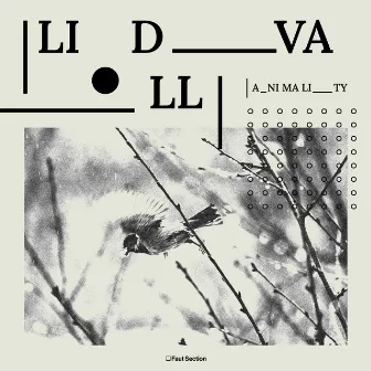 Animality by Lidvall