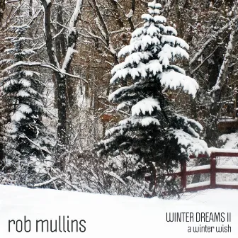 A Winter Wish (Winter Dreams II) by Rob Mullins