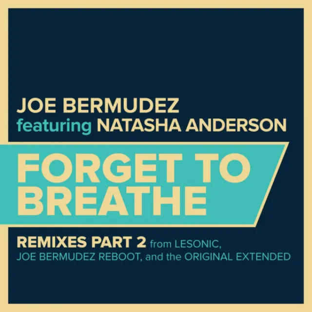 Forget To Breathe - LeSonic Remix Instrumental