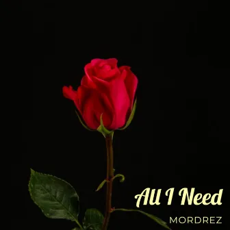 All I Need by Mordrez