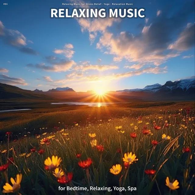 Soothing Background Sounds for Reiki