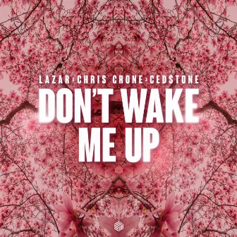 Don't Wake Me Up by Cedstone