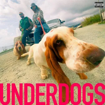 Underdogs by Dj Kamo