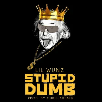 Stupid Dumb by Lil Wunz