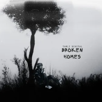 Broken Homes by Tarli Digital