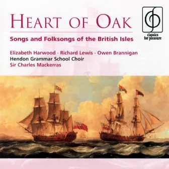 Heart Of Oak by Elizabeth Harwood