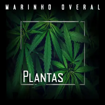 Plantas by Marinho Overal