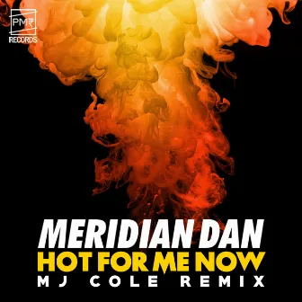 Hot For Me Now (MJ Cole Remix) by Meridian Dan