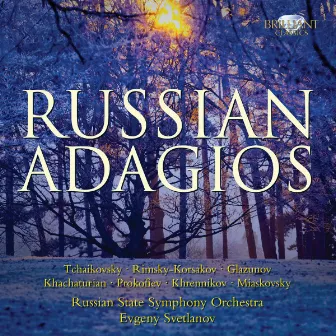 Russian Adagios by Bolshoi Theatre Orchestra