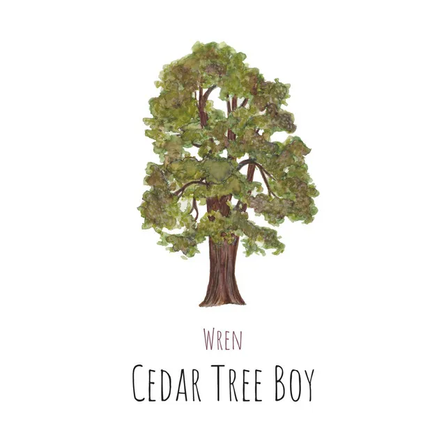 Cedar Tree Boy