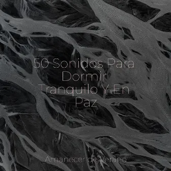 50 Sonidos Para Dormir Tranquilo Y En Paz by Unknown Artist