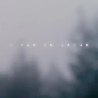 I Had to Laugh by Kan Wakan