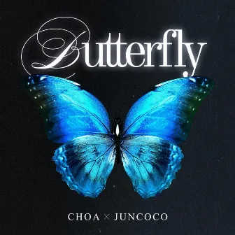 Butterfly by ChoA