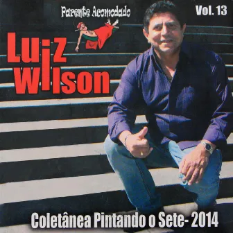 Parente Acomodado, Vol. 13 (Coletânea Pintando o Sete - 2014) by Luiz Wilson