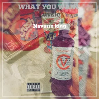 What You Want by Navarro King