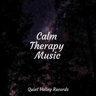 Calm Therapy Music by Weather Factory