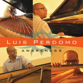 Awareness by Luis Perdomo