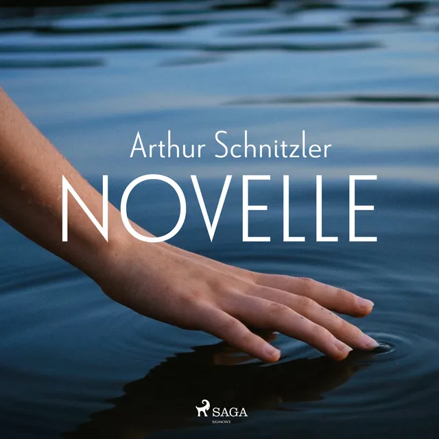 Chapter 6.2 - Novelle