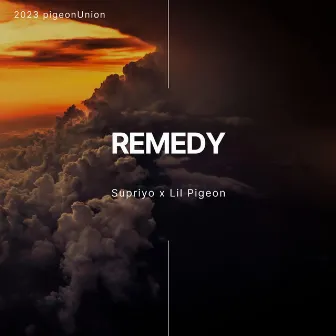 REMEDY by Supriyo Pal