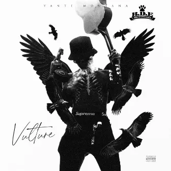 Vulture by Yante Montana