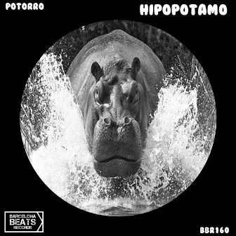 Hipopotamo by Potorro