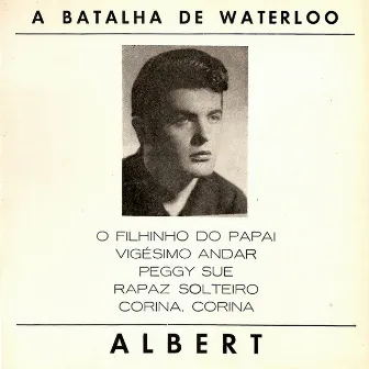 A Batalha de Waterloo by Albert Pavão