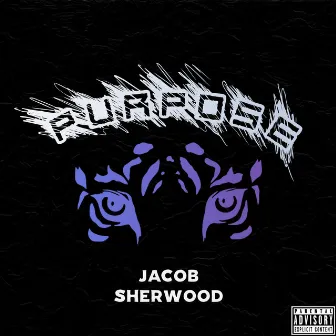 Purpose by Jacob Sherwood